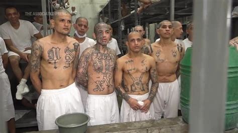 bbc prison gang|Suspected gang members moved to El Salvador mega.